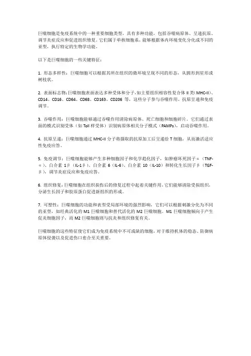 巨噬细胞特征