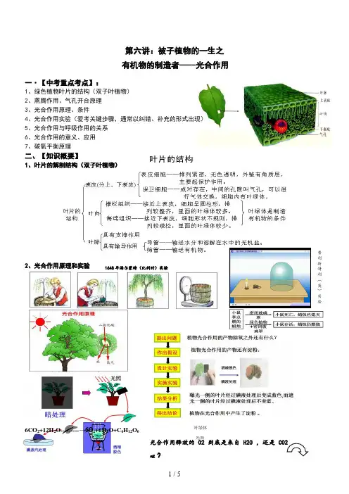 生物第六讲：被子植物的一生之光合作用(学生版)