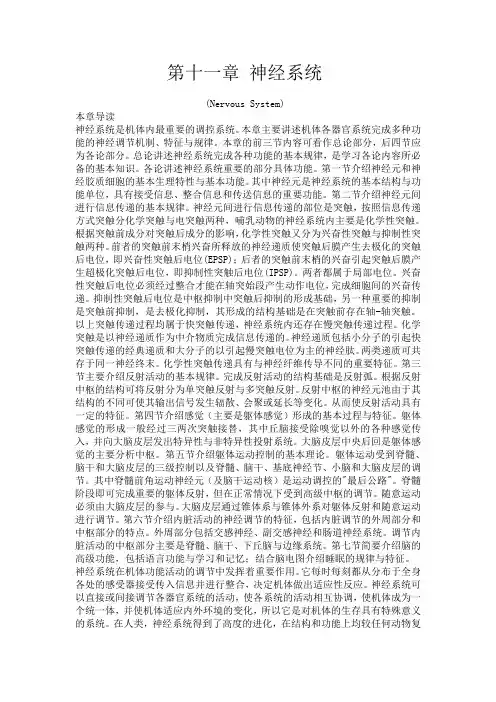 生理学教材 第十一章 神经系统