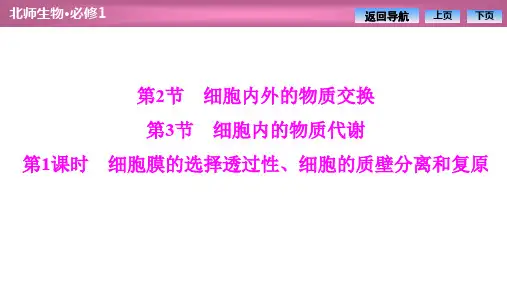 2019-2020学年北师大版高中生物必修1课件：第4章  第2节 细胞膜的选择透过性、细胞的质壁分离和复原