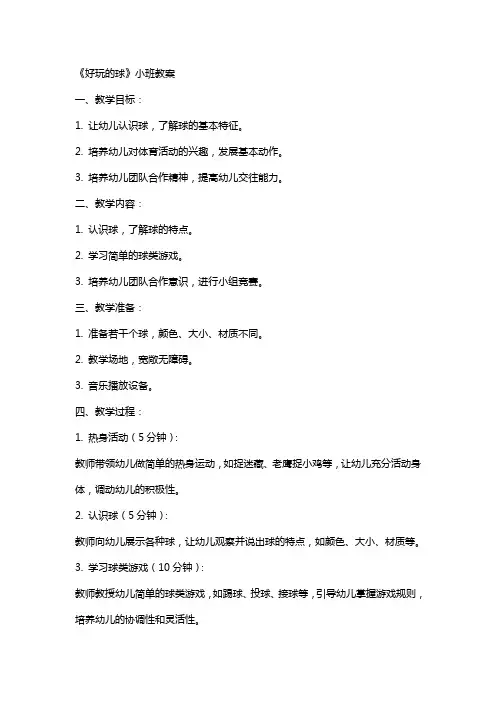 《好玩的球》小班教案