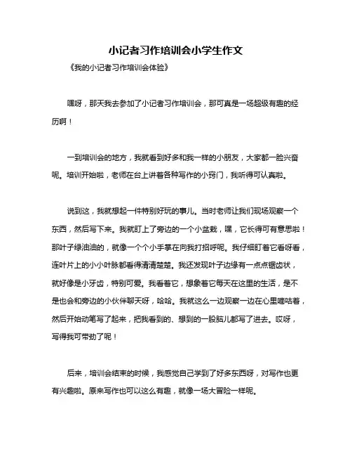 小记者习作培训会小学生作文