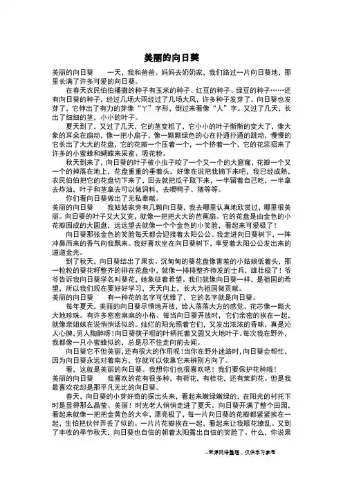 美丽的向日葵_四年级作文