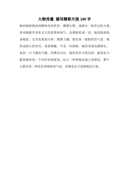 人物肖像 描写精彩片段100字