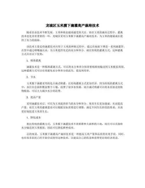 龙城区玉米膜下滴灌高产栽培技术