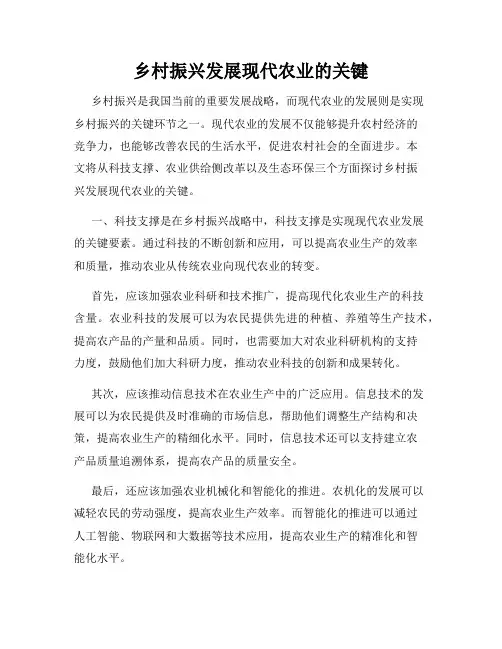 乡村振兴发展现代农业的关键