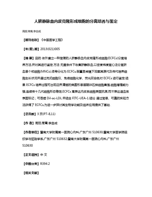 人脐静脉血内皮克隆形成细胞的分离培养与鉴定