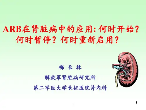 ARB在肾脏病中的应用PPT课件
