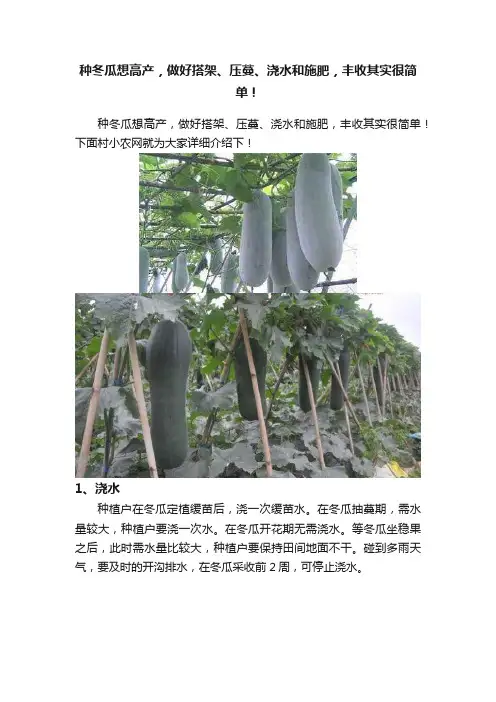 种冬瓜想高产，做好搭架、压蔓、浇水和施肥，丰收其实很简单！