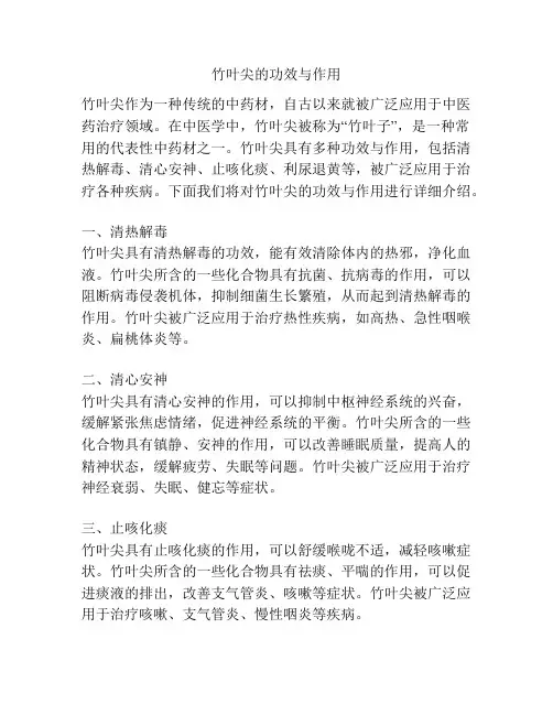 竹叶尖的功效与作用