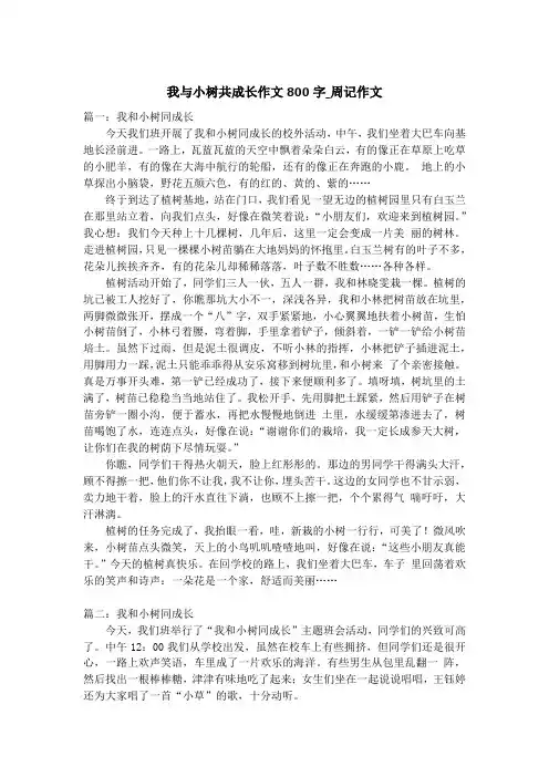 我与小树共成长作文800字_周记作文