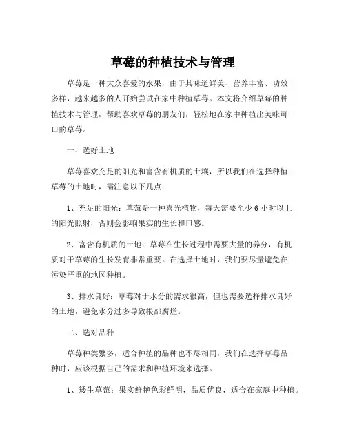 草莓的种植技术与管理