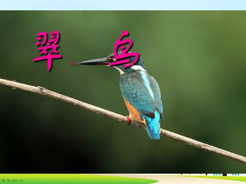 人教版三年级语文下《翠鸟》课件