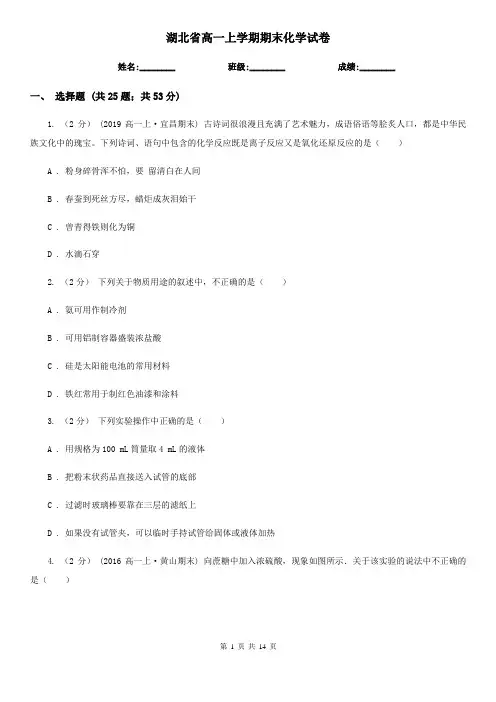 湖北省高一上学期期末化学试卷