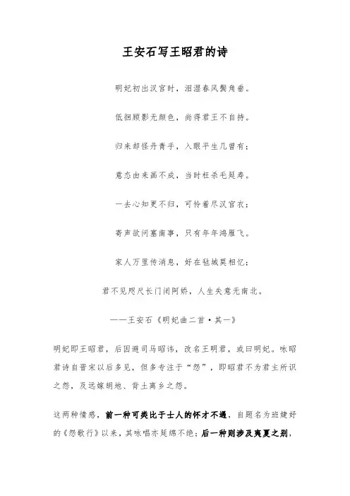 王安石写王昭君的诗