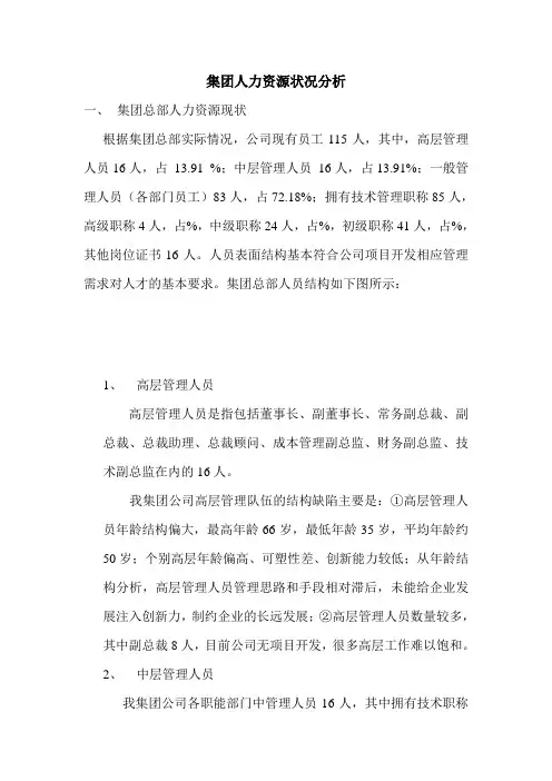 集团人力资源状况分析