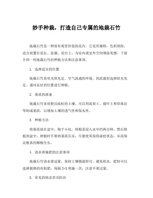 地栽石竹的种植方法和注意事项