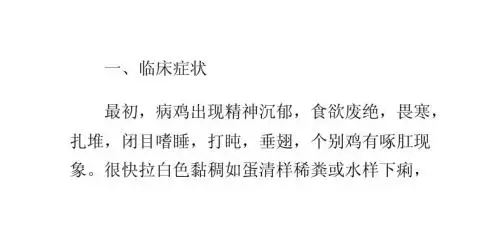 鸡法氏囊病继发大肠杆菌病怎么办