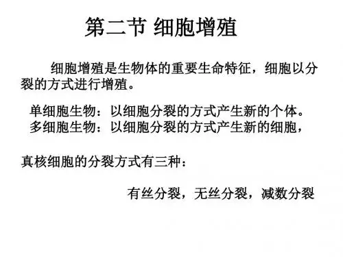 细胞的增殖