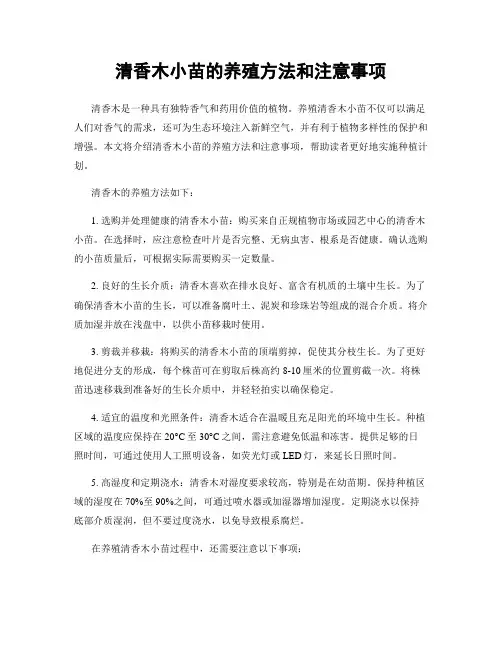 清香木小苗的养殖方法和注意事项