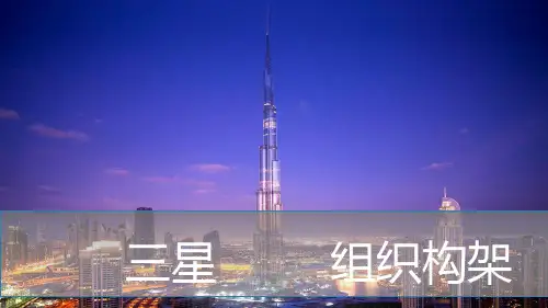 三星的组织架构 PPT课件