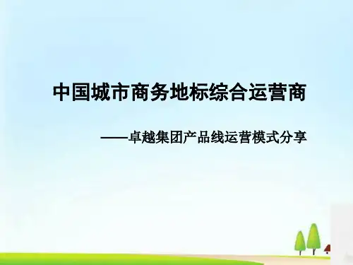 卓越集团品牌愿景与产品线的延伸(ppt 21页)