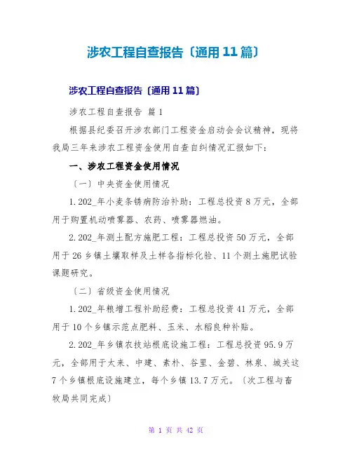 涉农项目自查报告(通用11篇)