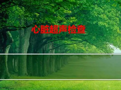 最新 心脏超声检查