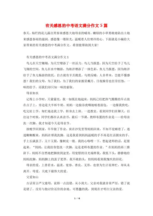 有关感恩的中考语文满分作文5篇