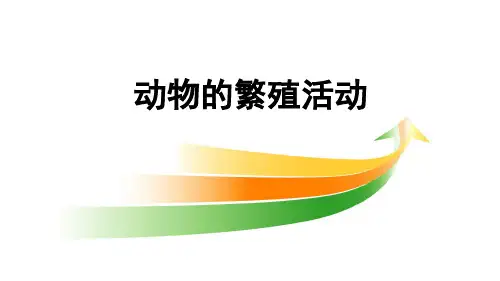 《动物的繁殖活动》上课课件