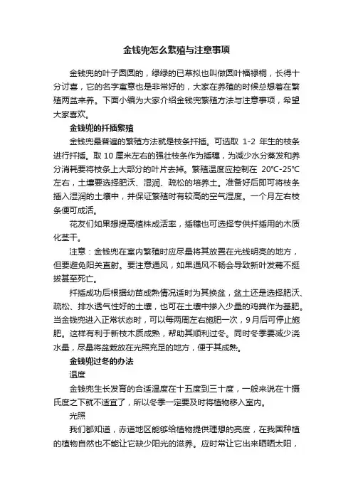 金钱兜怎么繁殖与注意事项