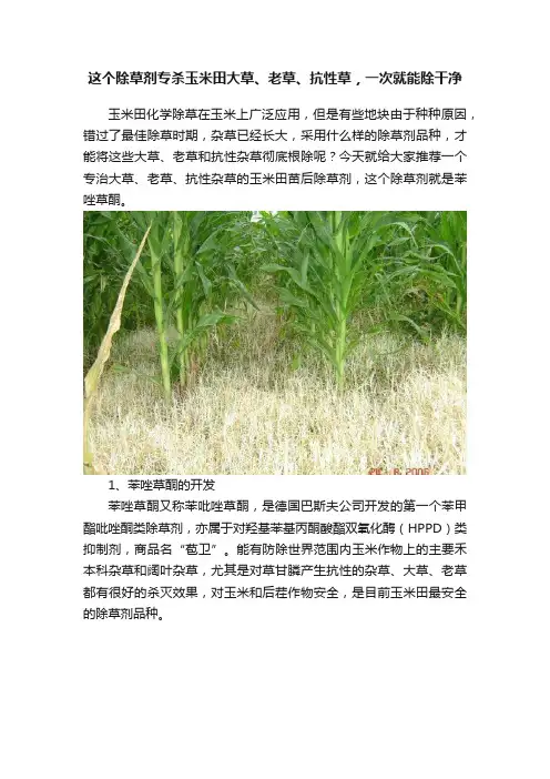 这个除草剂专杀玉米田大草、老草、抗性草，一次就能除干净