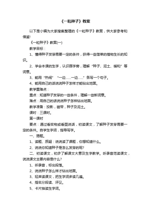 《一粒种子》教案