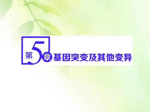 【精品推荐】(新教材)2019-2020新课程同步人教版高中生物必修二新学案课件：第5章 第1节 基因突变和基因
