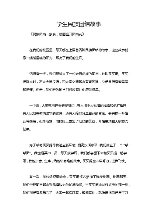 学生民族团结故事
