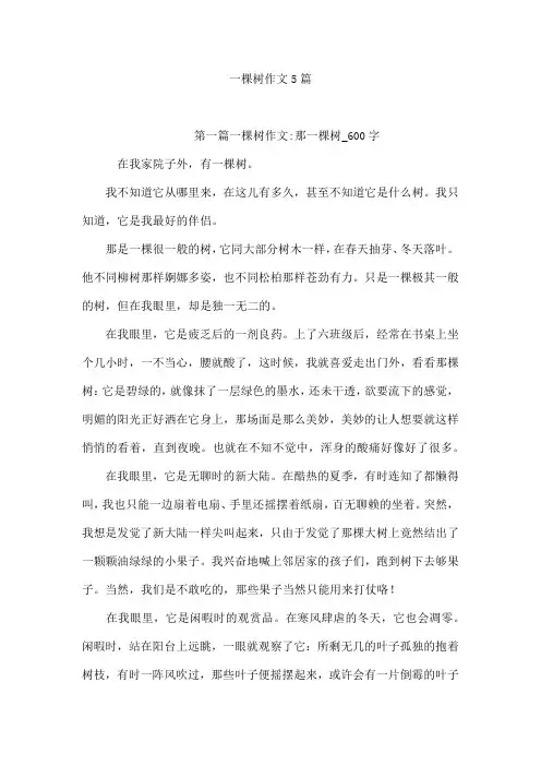 一棵树作文5篇