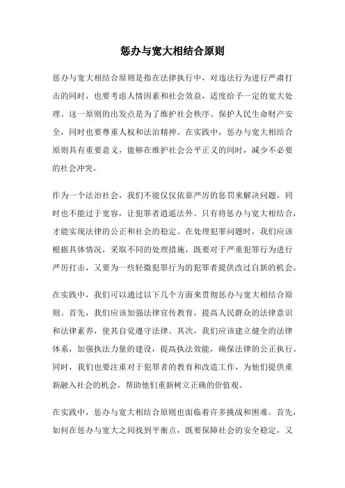 惩办与宽大相结合原则