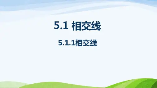 人教版初中数学七年级下册全册教学课件