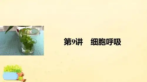 【步步高】(全国通用)2017版高考生物一轮复习 第三单元 细胞的能量供应和利用 第9讲 细胞呼吸课件