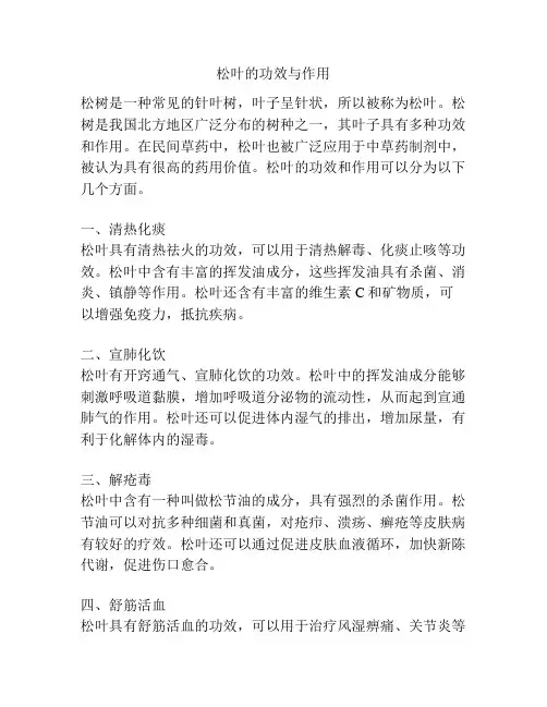 松叶的功效与作用