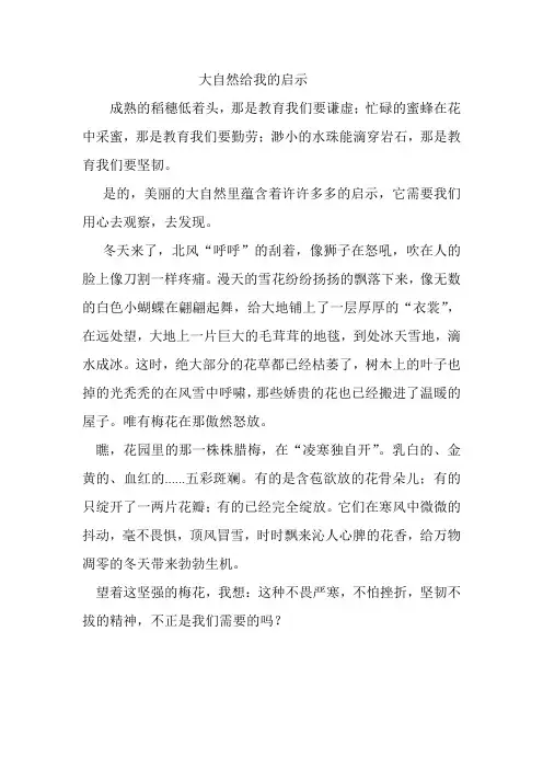 大自然给我的启示