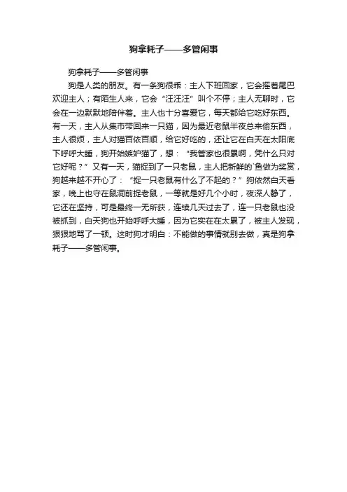 狗拿耗子——多管闲事