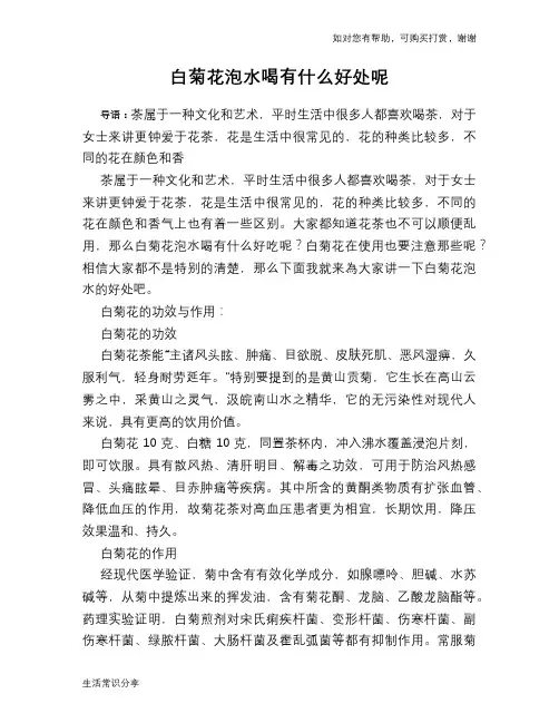 白菊花泡水喝有什么好处呢