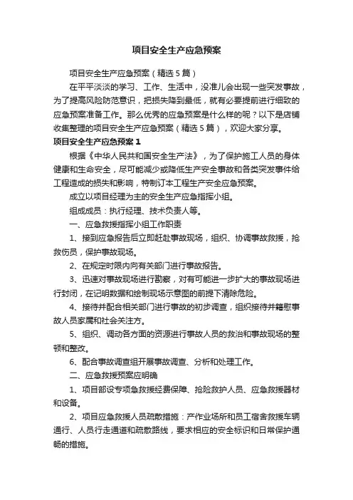 项目安全生产应急预案