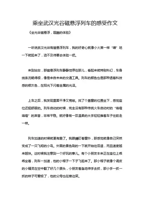 乘坐武汉光谷磁悬浮列车的感受作文