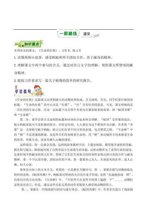 四年级下册语文素材-第十二周《生命的壮歌》《习作5》《练习5》辅导及习题丨苏教版(PDF 含答案)