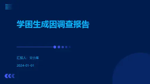 学困生成因调查报告