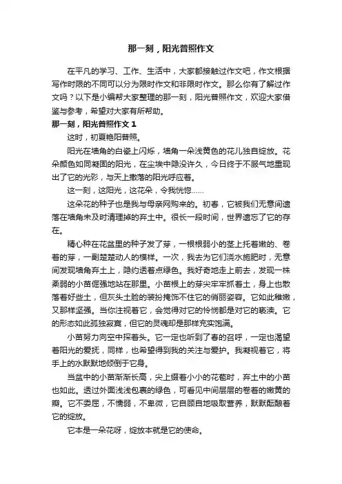 那一刻，阳光普照作文