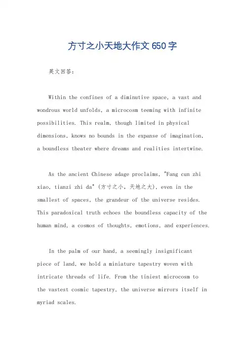 方寸之小天地大作文650字