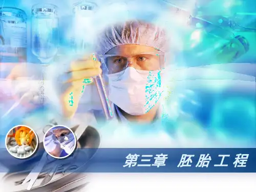 高三一轮复习  选修三第三章胚胎工程